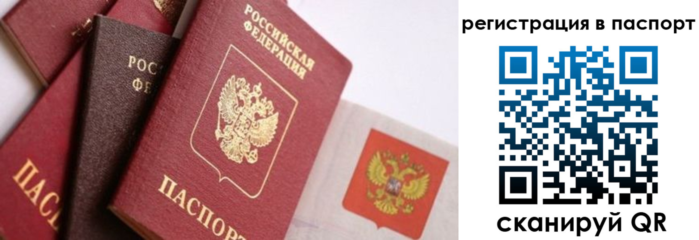прописка в квартире в Зверево